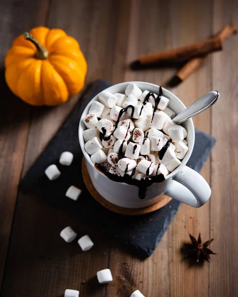 Heiße Schokolade Mit Marshmallow Und Zimt Einem Weißen Becher Auf — Stockfoto