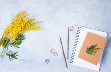 Sarı mimoza çiçeği, el işi bir defter ve mavi bir masanın üzerinde kalemlerle yatıyordu. Kadın çiçekli masaüstü. en üstteki görünüm ve kopyala