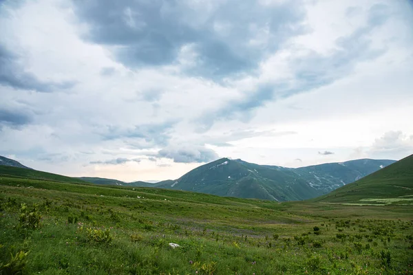 Bir dağ vadisinde bulutlu bir günde güzel bir yaz manzarası. Rusya, Adygea