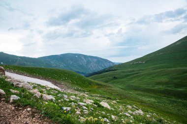 Çiçeklerle dolu bir dağ vadisinde bulutlu bir günde güzel bir yaz manzarası. Rusya, Adygea