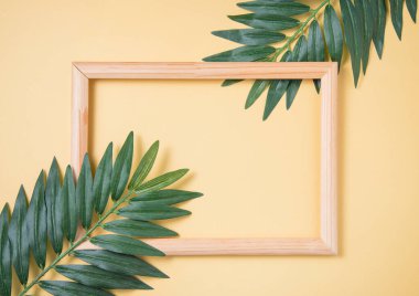 Sarı arka planda iki palmiye yaprağı ve ahşap çerçeve. Metin için üst görünüm ve boşluk