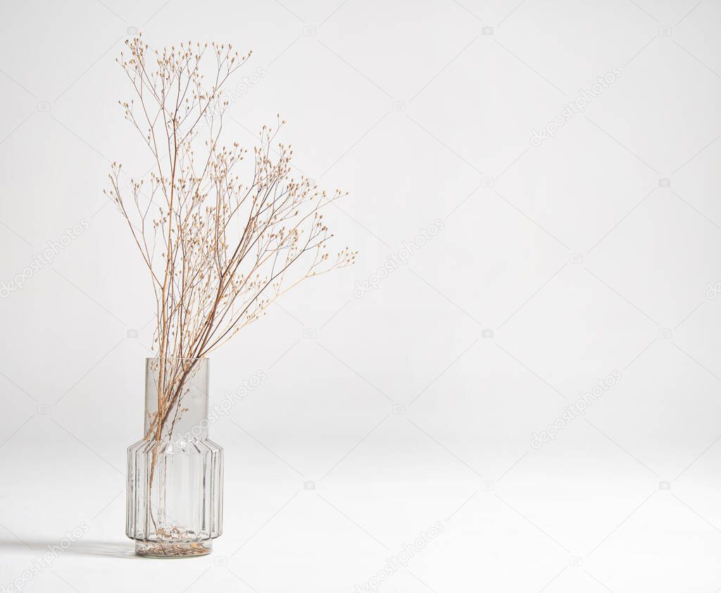 a bouquet of dried flowers in a glass vase on a white background. Scandinavian decor. Front view and copy space