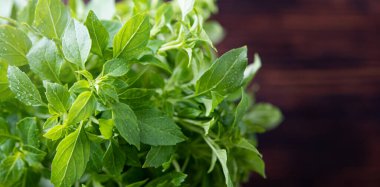 Sağlıklı yiyecekler. Kahverengi ahşap arka planda taze aromatik fesleğen. Makro ve görüntüyü kapat. Üst görünüm ve kopyalama alanı