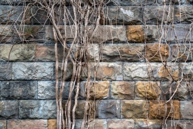 Eski moda gri desenli, ölü bitkilerle örülü tuğla duvar. Ön görünüm ve uzay resmi kopyala