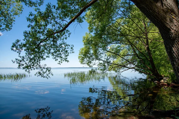 Schöne Sommerlandschaft See Mit Bäumen Und Reflexion Das Konzept Des — Stockfoto