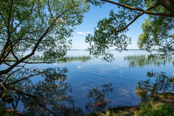 Schöne Sommerlandschaft See Mit Bäumen Und Reflexion Das Konzept Des — Stockfoto