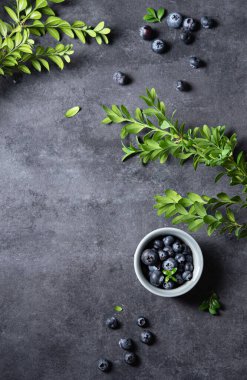 Koyu gri arka planda yeşil brunch 'lı bir kasede taze yaban mersini. Karanlık konsept fotoğrafı. Üst görünüm ve boşluk resmi kopyala