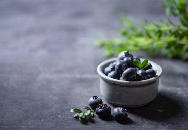 Koyu gri arka planda yeşil brunch 'lı bir kasede taze yaban mersini. Karanlık konsept fotoğrafı. Macro, kapat ve uzay resmini kopyala