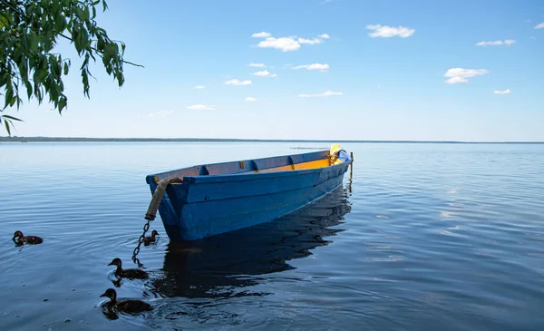 Beautiful Landscape Blue Wooden Boat Ducks Lake Pleshcheyevo Sunny Summer — Stock Photo, Image