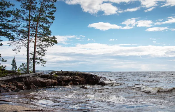 Vackert Landskap Stranden Ladoga Sjön Med Stenar Och Tallar Solig — Stockfoto