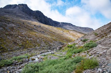 Khibiny dağlarının güzel manzarası kayalar ve bir yaz günü bir dağ deresi. Kola Yarımadası, Rusya
