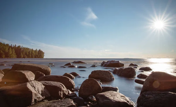 Prachtige Zonsopgang Aan Oever Van Het Ladoga Meer Met Pijnboom — Stockfoto