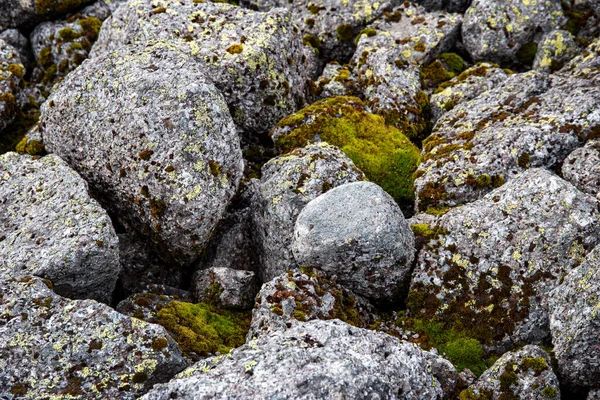 Pedra Natureza Fundo Pedras Pedras Cobertas Com Musgo Fungos Nas — Fotografia de Stock