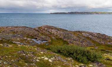 Kuzey Denizi kıyısında renkli yosunlarla kaplı taşlarla güzel bir manzara. Dağdan bak. Teriberka, Barents Denizi, Murmansk Bölgesi, Kola Yarımadası
