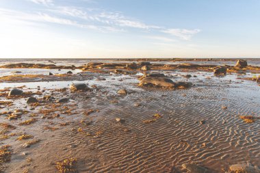 Beyaz Deniz kıyısında güneşli bir sabah Belomorsk, Karelia 'da kayalar ve alglerle birlikte güzel bir gün doğumu.
