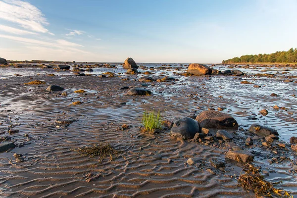 Vacker Soluppgång Vita Havets Strand Vid Lågvatten Med Klippor Och — Stockfoto