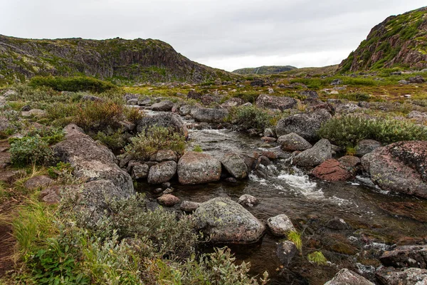 Riacho Montanha Entre Rochas Cobertas Com Musgo Colorido Arbustos Teriberka — Fotografia de Stock