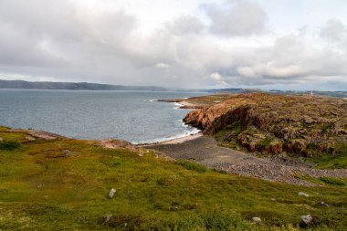 Kuzey Denizi kıyısında renkli yosunlarla kaplı taşlarla güzel bir manzara. Dağdan bak. Teriberka, Barents Denizi, Murmansk Bölgesi, Kola Yarımadası