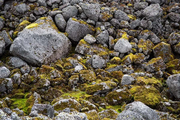Taş doğası geçmişi. Khibiny dağlarında yosun ve mantarla kaplı taşlar. En üst görüntü