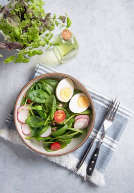 Taze ıspanak yaprağı, domates, mikro yeşil fesleğen, haşlanmış yumurta, açık mavi arka planda kırmızı turp salatası. Sağlıklı, besleyici ve vejetaryen gıda kavramı çok yakındır. Boşluğu ve üst görünümü kopyala.