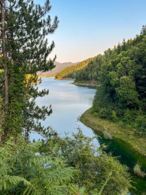 Dağ gölü, yoğun yeşil orman ve tepelerle çevrili, doğal gün ışığında. Resimli manzara konsepti, vahşi doğa güzelliği. Tara, Sırbistan.