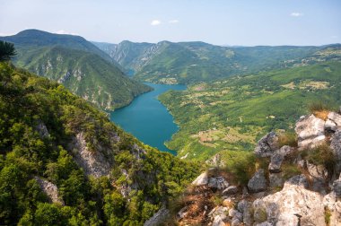 Yeşil orman dağları arasında dolanan kanyon nehri, berrak mavi gökyüzü altında doğa fotoğrafçılığı, yaz sükuneti seyahat kavramı doğa manzarası. Tara Ulusal Parkı, Sırbistan. Üst görünüm.