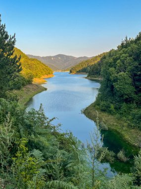 Dağ gölü, yoğun yeşil orman ve tepelerle çevrili, doğal gün ışığında. Resimli manzara konsepti, vahşi doğa güzelliği. Tara, Sırbistan.