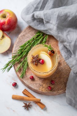 Tarçın, anason, esmer şeker ve biberiyeli elma şarabı mermer bir arka planda, taze meyve, yabanmersini ve otla birlikte ahşap bir tahta üzerinde. Sonbahar ve kış için geleneksel, baharatlı, sıcak bir içecek kavramı. Üst görünüm.