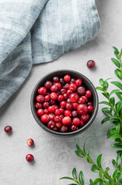 Yeşil dallı ve peçeteli açık arkaplanda koyu renkli bir kasede taze yaban mersini. Sağlıklı yabani böğürtlen kavramı. Üst görünüm, alanı kopyala.