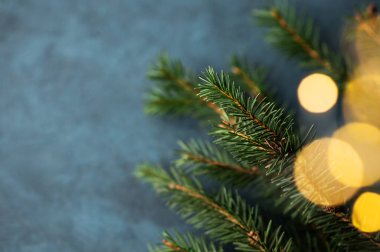 Firavun dalları ve Noel ışıkları koyu mavi arka plan üzerinde bokeh etkisi yaratıyor. Yılbaşı kartları için aydınlatıcı ve dekoratif bir kavram veya reklam veya metin için yeri olan afiş.