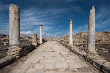 Salamis