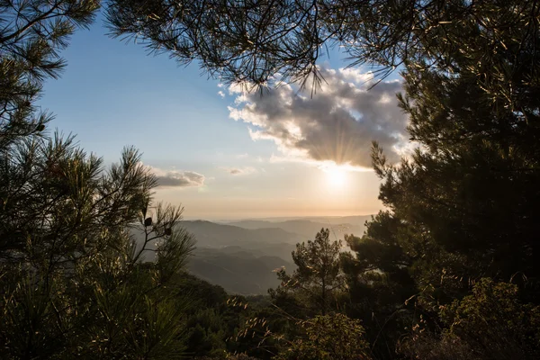 Troodos-hegység — Stock Fotó