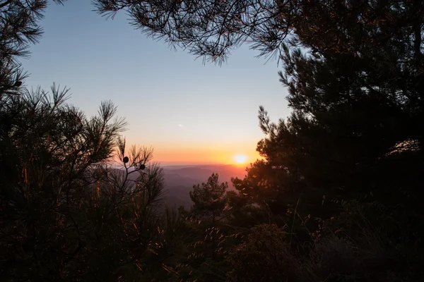 Troodos Montanhas — Fotografia de Stock