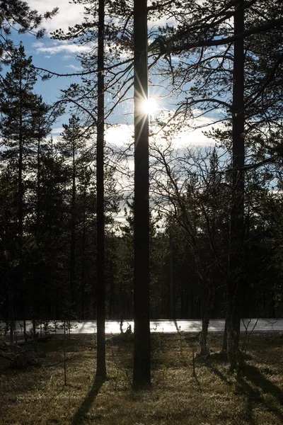 El Círculo Ártico Finlandia — Foto de Stock