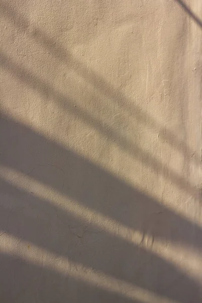 A beautiful long shadow on a gray wall.