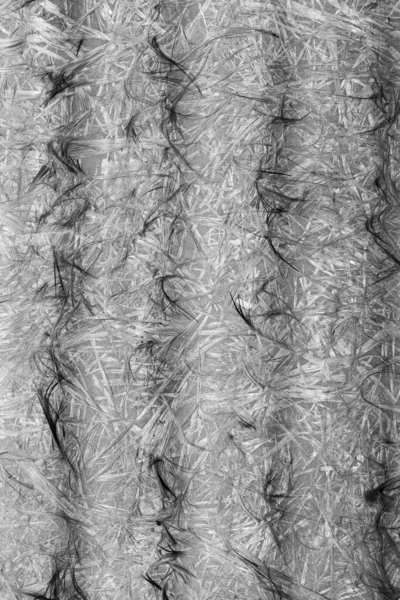 Abstract Background Fibers Monochrome Black White Texture — Stock Photo, Image