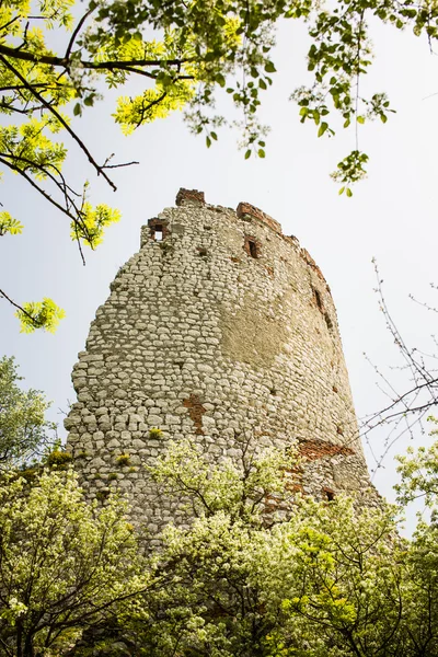 Ρομαντικό καταστροφή, η κάστρο κορίτσια στην ΠΑΛΑΒΑ, Τσεχική — Φωτογραφία Αρχείου