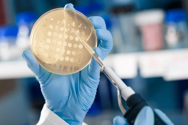 Científico haciendo experimento, una mano visible — Foto de Stock