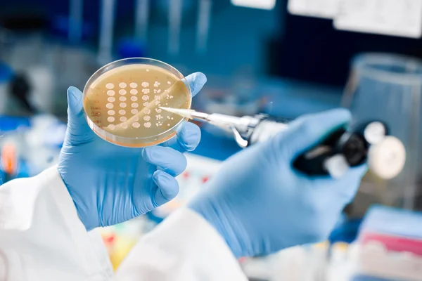 Cientista a fazer experiências, duas mãos visíveis — Fotografia de Stock