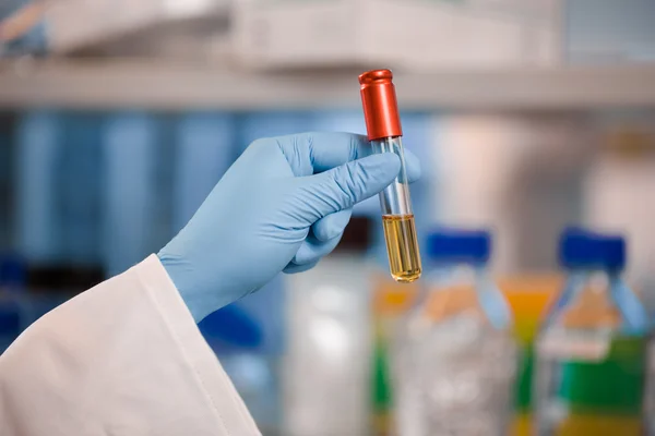 Cientista segurando frasco vermelho ou tubo de ensaio — Fotografia de Stock