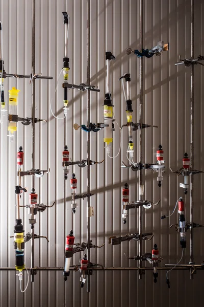 Various microbial colonies in laboratory freezer — Stock Photo, Image