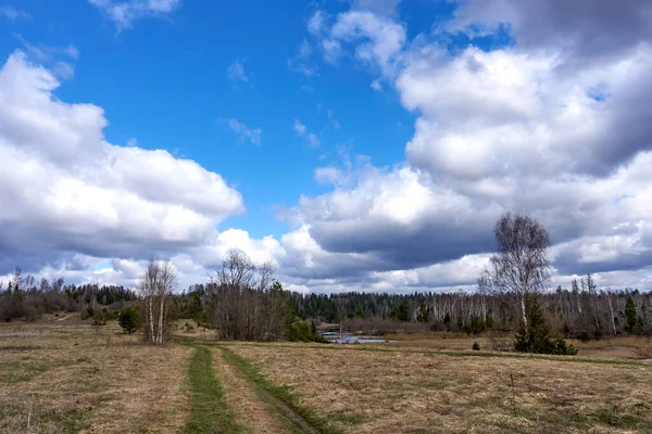Campo Con Hierba Verde Bosque Primavera Contra Cielo Azul Nublado — Foto de Stock