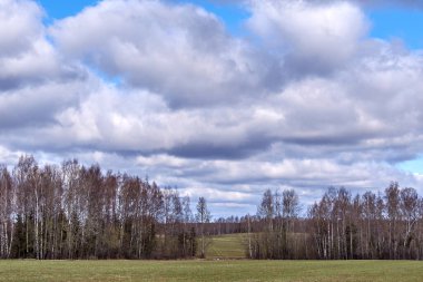 Yeşil çimenli bir tarla ve mavi bulutlu gökyüzüne karşı bir bahar ormanı.