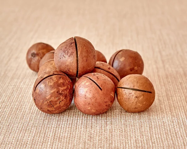 Καρύδια Macadamia Βρίσκονται Μια Ανοιχτόχρωμη Επιφάνεια Φωτογραφημένα Κοντινό Πλάνο Μπροστινό — Φωτογραφία Αρχείου