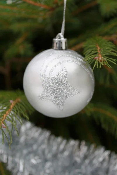 Graue Christbaumkugel auf Tannenzweig — Stockfoto