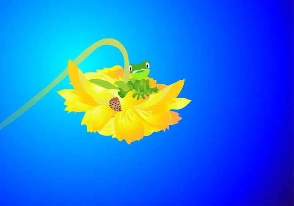 Flower and frog — Stock Vector