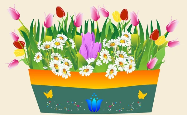 春天在花盆里 — 图库矢量图片