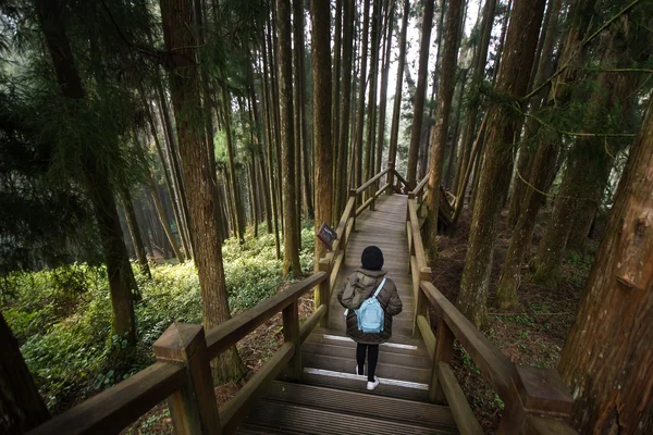 Traveler promenader på Alishan nationella natursköna området Walkboard väg. — Stockfoto