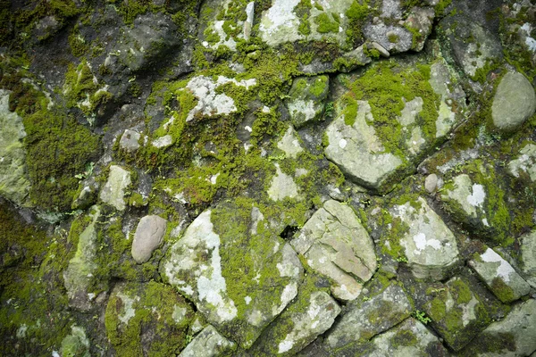 Дика кам'яна стіна з зеленим мохом — стокове фото