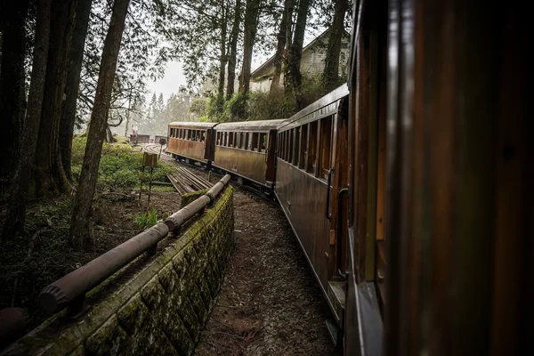 Alter Zug auf dem Eisenbahnwald — Stockfoto